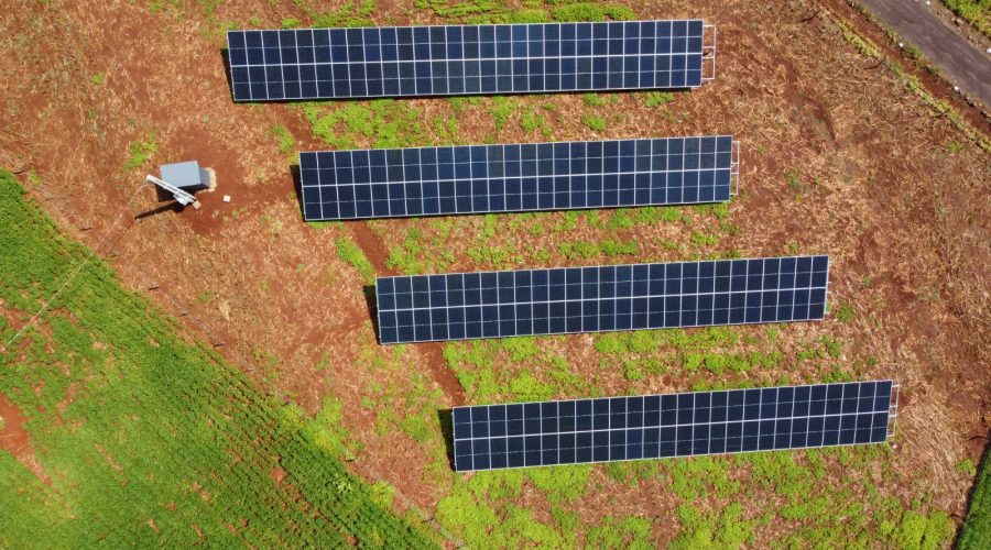 with sistem imagem 03 site