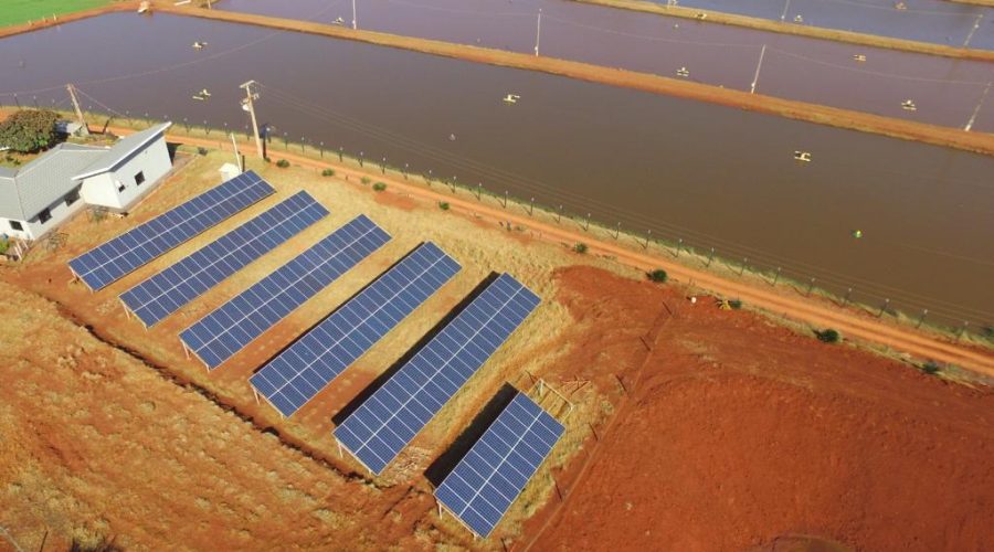 with sistem imagem 06 site