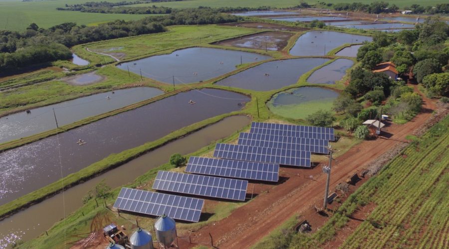 with sistem imagem 08 site