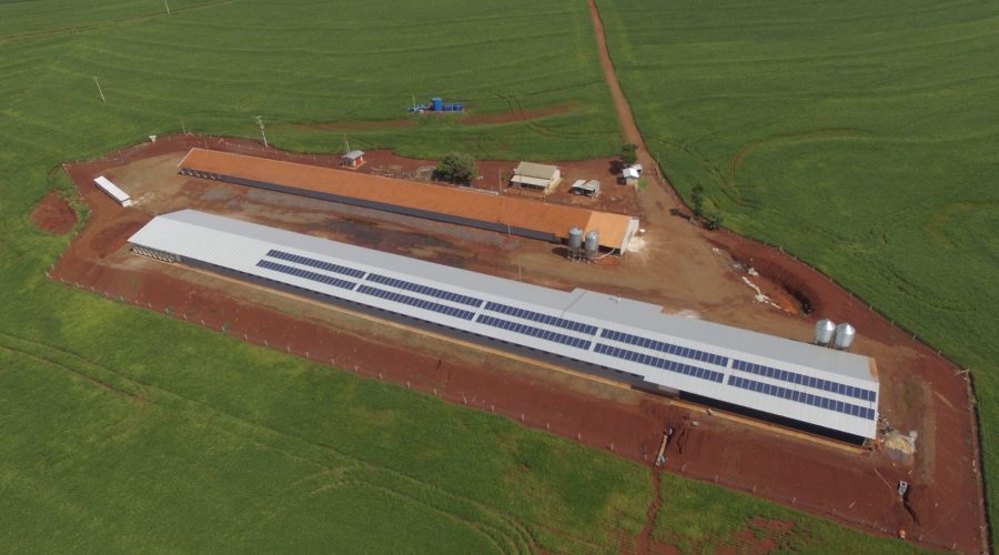 with sistem imagem 09 site